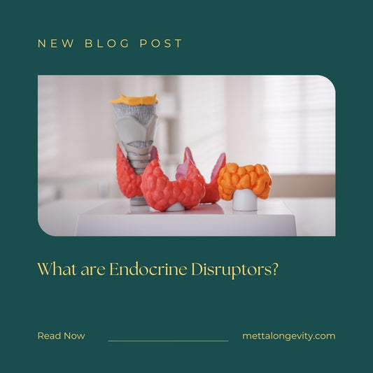 What are Endocrine Disruptors?